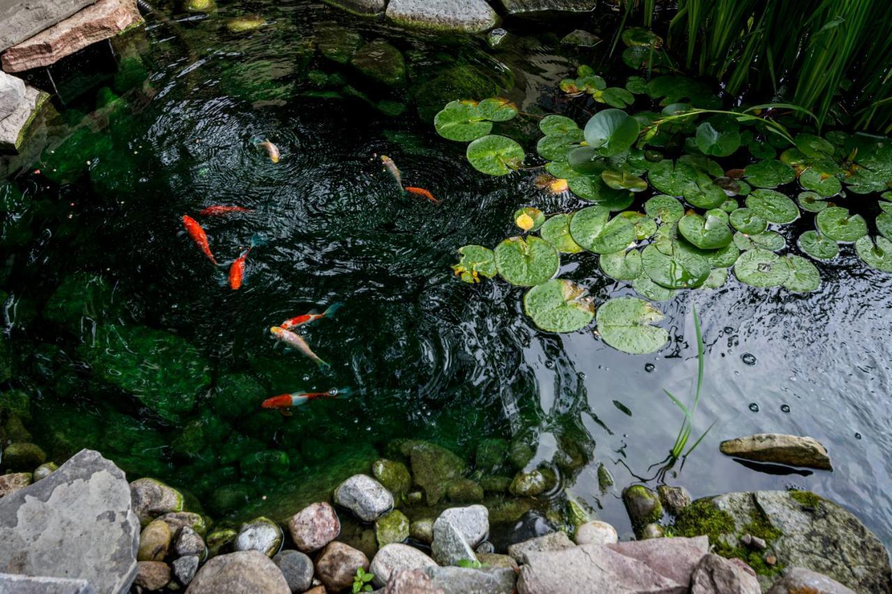 The Secret Garden Bed & Breakfast