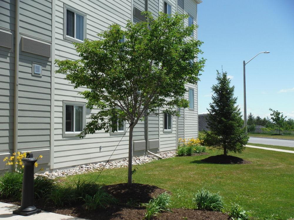 6-kingston, On Hotel 2*