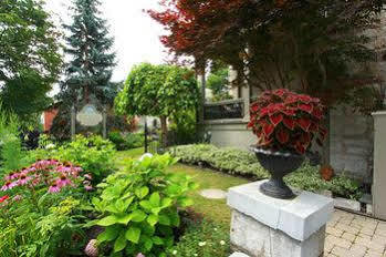 Rosemount 3* Kingston