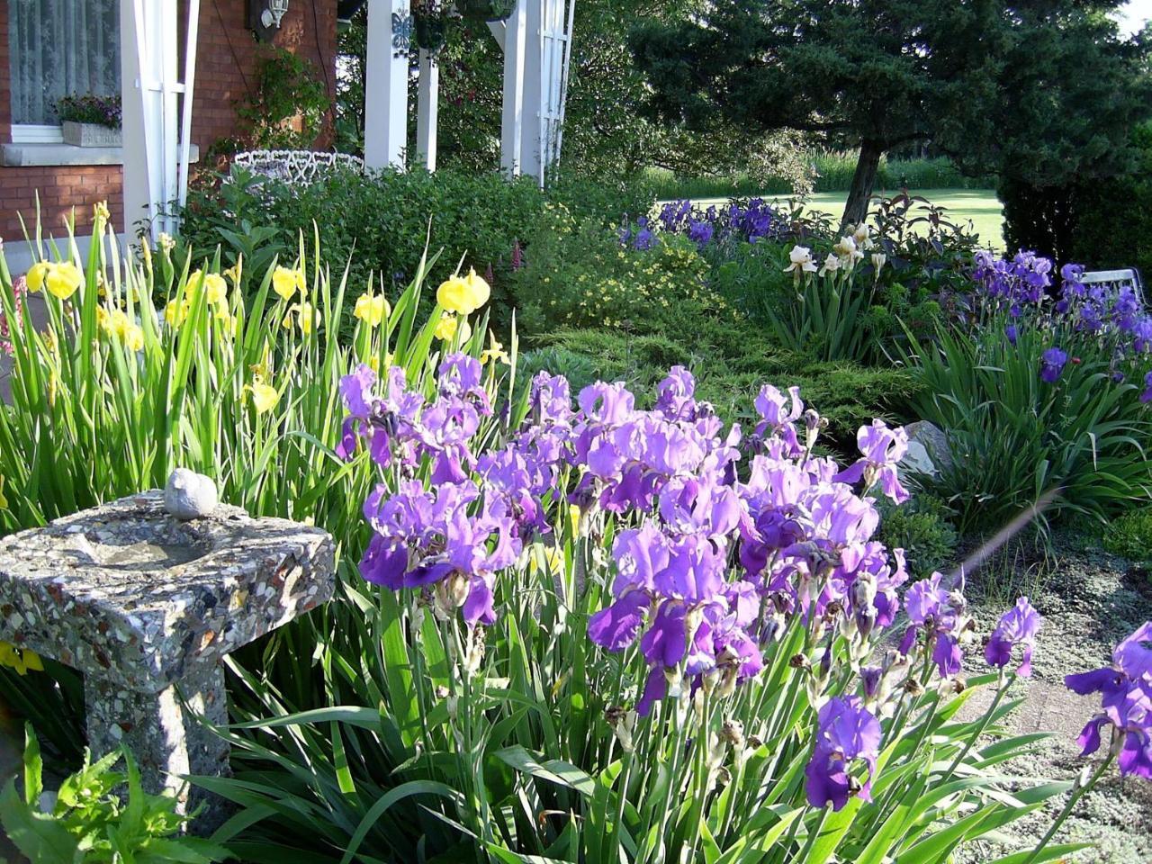 Green Woods Inn 3*